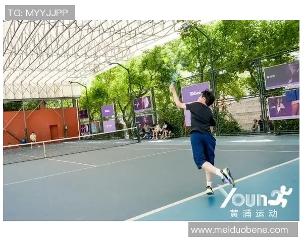 在绿色赛场上追逐梦想探寻网球运动的激情与智慧之美