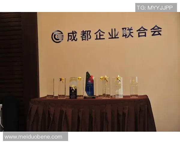 成都市蓉城发展新篇章 聚焦创新引领未来经济新格局