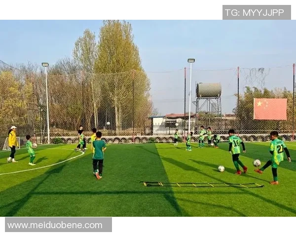 探讨现代足球俱乐部经营模式与青训体系协同发展的新趋势重要路径