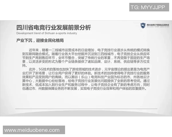 电竞职业联赛发展趋势分析与未来前景展望：从竞技到产业的全面演进