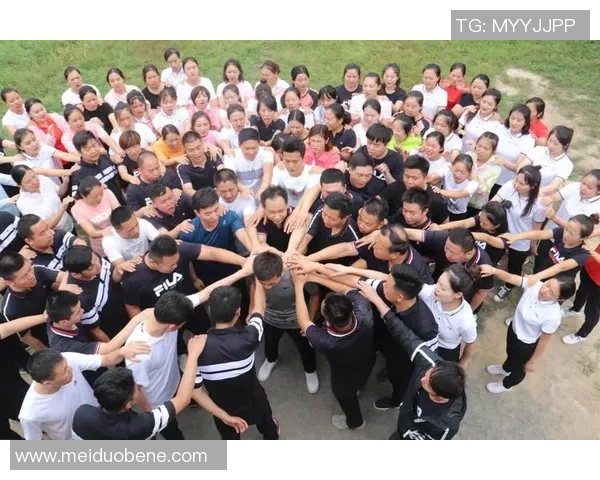 Wolf穿越火线:勇闯战场的传奇之旅与团队合作的力量 Wolf穿越火线:勇闯战场的传奇之旅与团队合作的力量